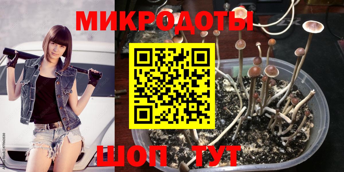 Псилоцибиновые грибы Magic Shrooms  Вход с VPN  Галлюциногенные грибы мухоморы  Бийск 