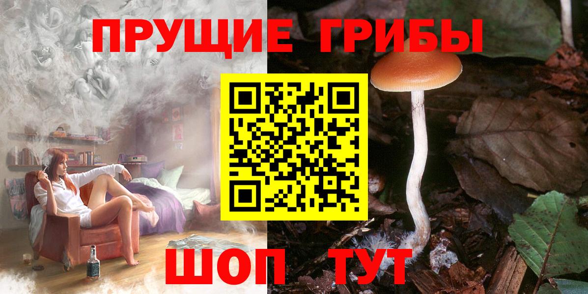 Вейп ТГК Бийск