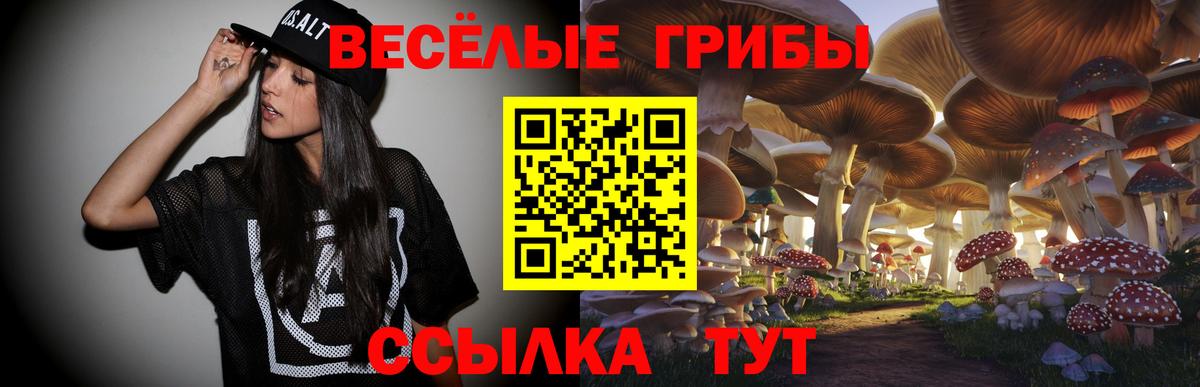 Галлюциногенные грибы Psilocybine cubensis Бийск